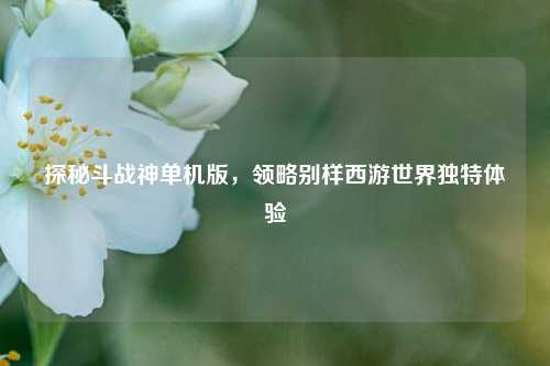 探秘斗战神单机版,领略别样西游世界独特体验