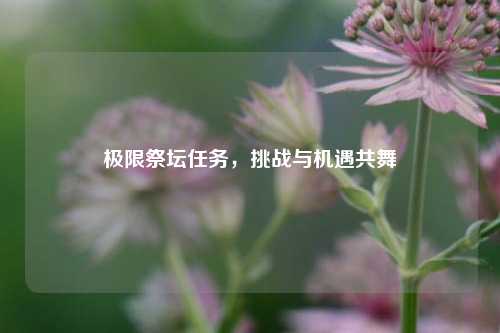 极限祭坛任务,挑战与机遇共舞