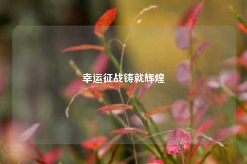 幸运征战铸就辉煌