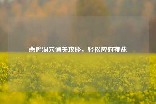 悲鸣洞穴通关攻略,轻松应对挑战