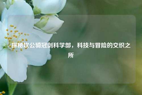 探秘坎公骑冠剑科学部,科技与冒险的交织之所