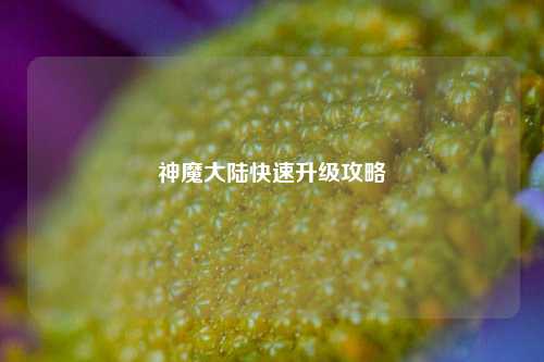 神魔大陆快速升级攻略