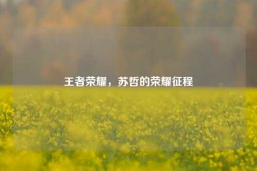 王者荣耀,苏哲的荣耀征程