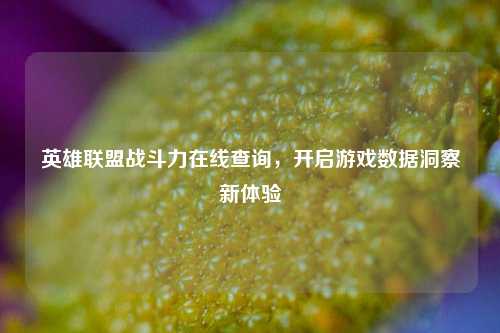 英雄联盟战斗力在线查询,开启游戏数据洞察新体验