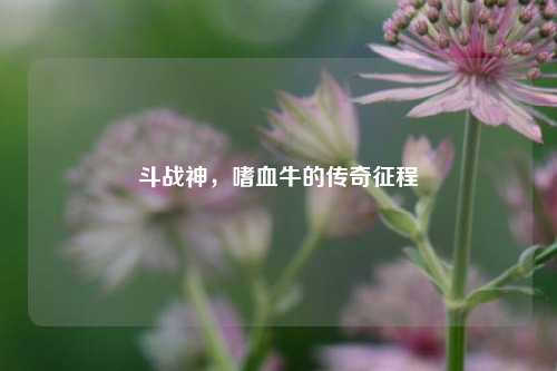 斗战神,嗜血牛的传奇征程