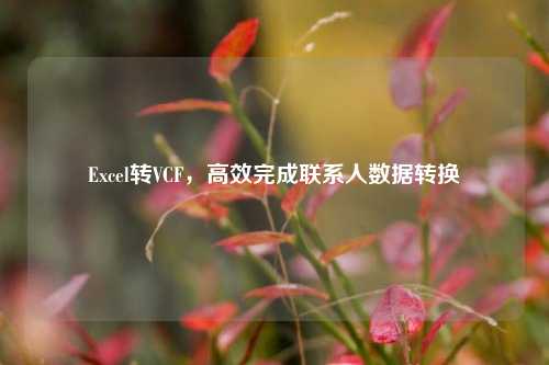 Excel转VCF,高效完成联系人数据转换