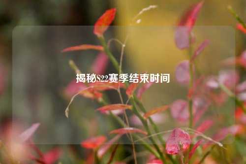揭秘S22赛季结束时间