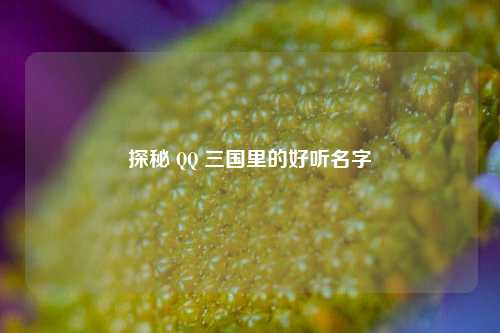 探秘 QQ 三国里的好听名字