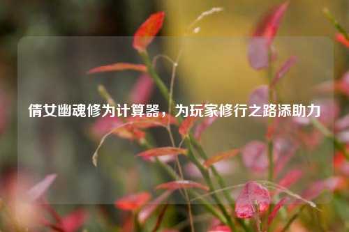 倩女幽魂修为计算器,为玩家修行之路添助力