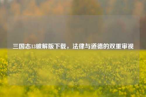 三国志13破解版下载,法律与道德的双重审视