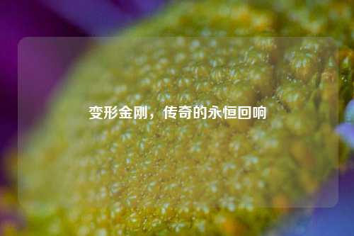 变形金刚,传奇的永恒回响