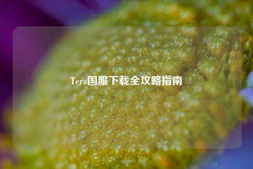 Tera国服下载全攻略指南