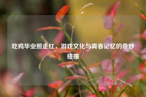 吃鸡毕业照走红,游戏文化与青春记忆的奇妙碰撞