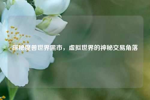 探秘魔兽世界黑市,虚拟世界的神秘交易角落