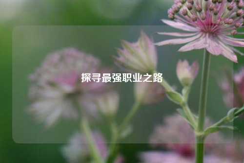 探寻最强职业之路