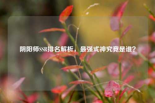 阴阳师SSR排名解析,最强式神究竟是谁?