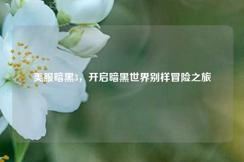 美服暗黑3,开启暗黑世界别样冒险之旅