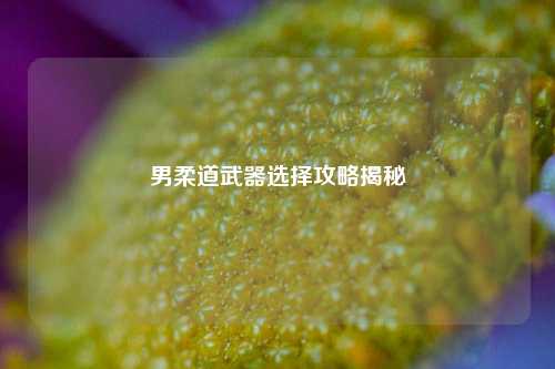 男柔道武器选择攻略揭秘