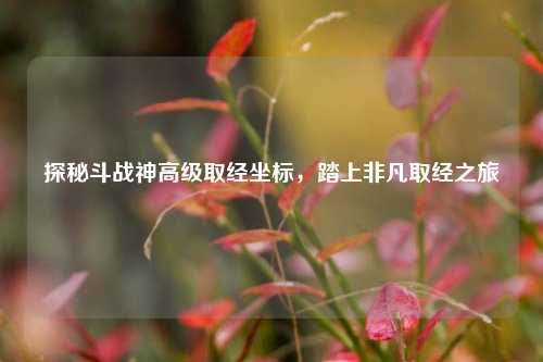 探秘斗战神高级取经坐标,踏上非凡取经之旅