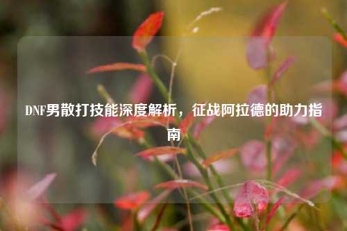 DNF男散打技能深度解析,征战阿拉德的助力指南