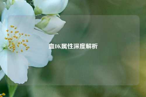 血DK属性深度解析