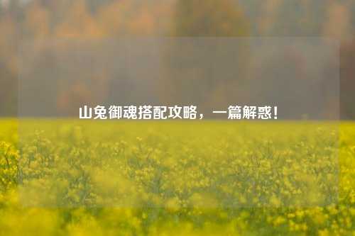 山兔御魂搭配攻略,一篇解惑!