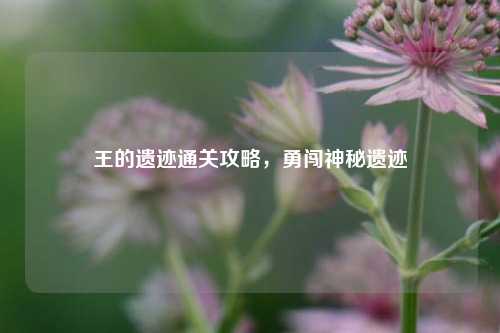 王的遗迹通关攻略,勇闯神秘遗迹
