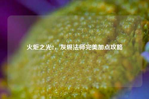 火炬之光2,灰烬法师完美加点攻略