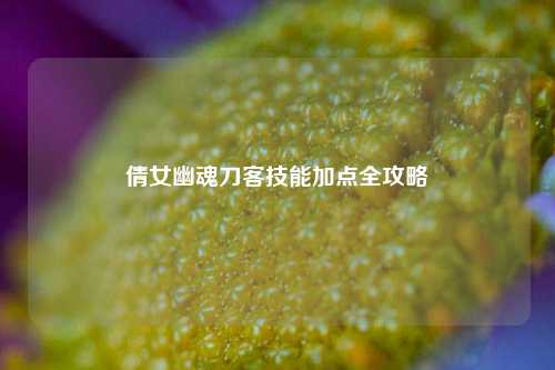 倩女幽魂刀客技能加点全攻略