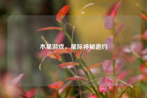 木星游戏,星际神秘邀约