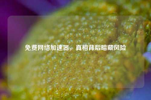 免费网络加速器,真相背后暗藏风险