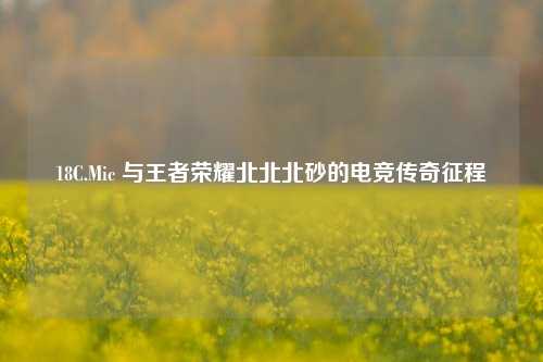 18C.Mic 与王者荣耀北北北砂的电竞传奇征程