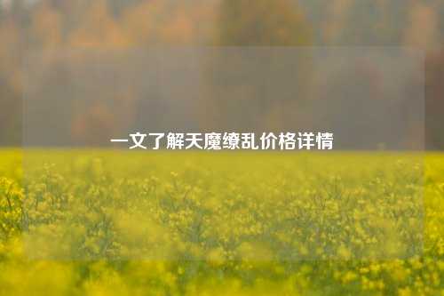 一文了解天魔缭乱价格详情