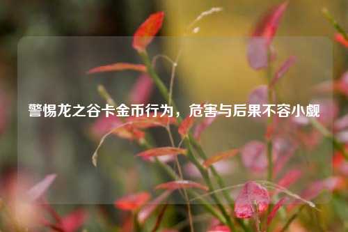 警惕龙之谷卡金币行为,危害与后果不容小觑