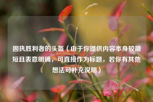 固执胜利者的头盔(由于你提供内容本身较简短且表意明确,可直接作为标题,若你有其他想法可补充说明)