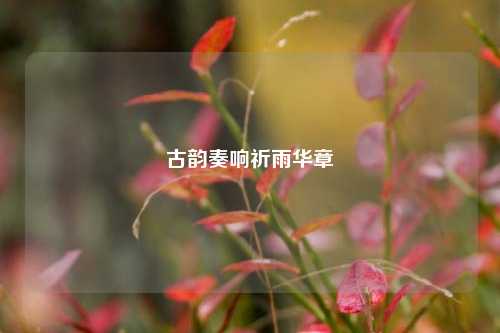 古韵奏响祈雨华章