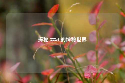 探秘 333cf 的神秘世界