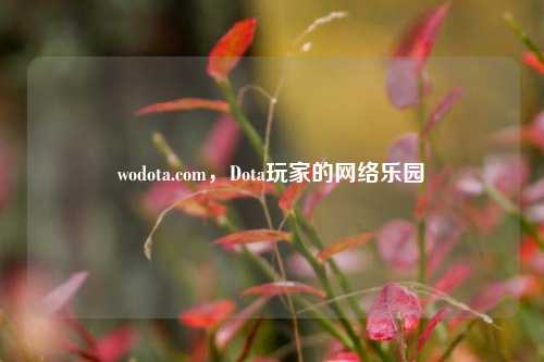 wodota.com,Dota玩家的网络乐园