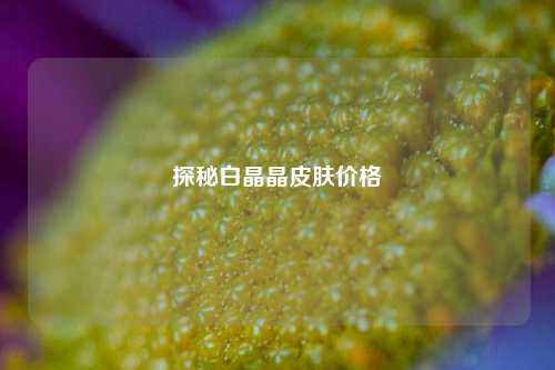 探秘白晶晶皮肤价格