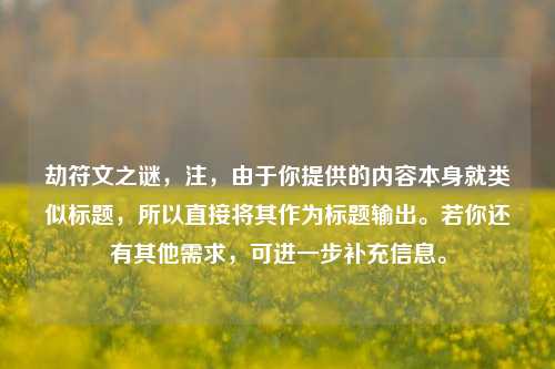 劫符文之谜,注,由于你提供的内容本身就类似标题,所以直接将其作为标题输出。若你还有其他需求,可进一步补充信息。