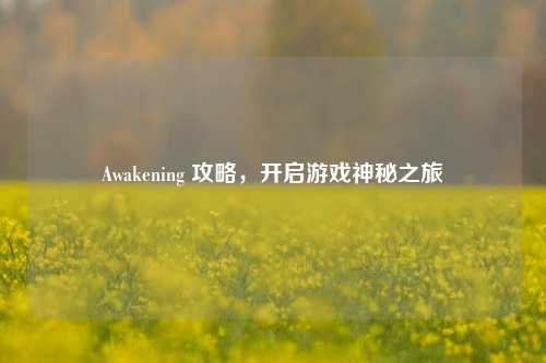 Awakening 攻略,开启游戏神秘之旅