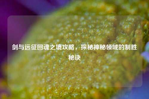 剑与远征回魂之境攻略,探秘神秘领域的制胜秘诀