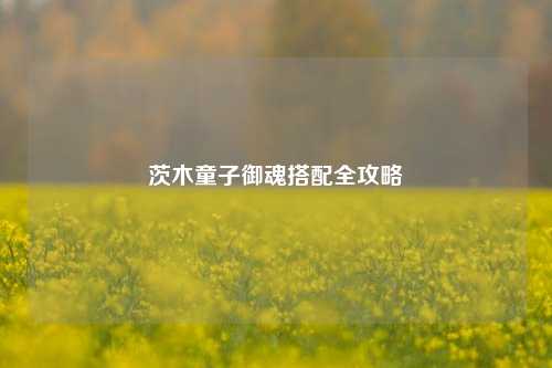 茨木童子御魂搭配全攻略
