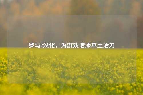 罗马2汉化，为游戏增添本土活力