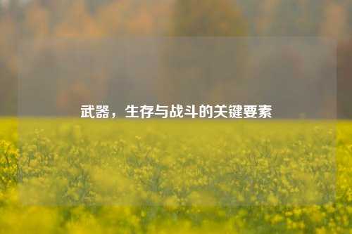 武器,生存与战斗的关键要素