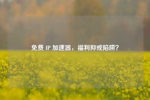 免费 IP 加速器，福利抑或陷阱？