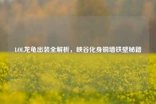 LOL龙龟出装全解析,峡谷化身铜墙铁壁秘籍
