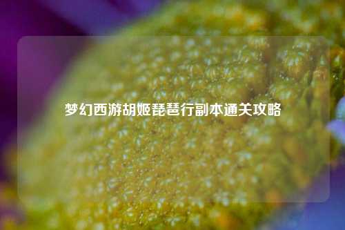 梦幻西游胡姬琵琶行副本通关攻略