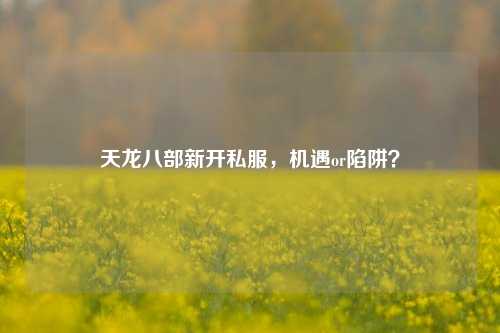 天龙八部新开私服，机遇or陷阱？