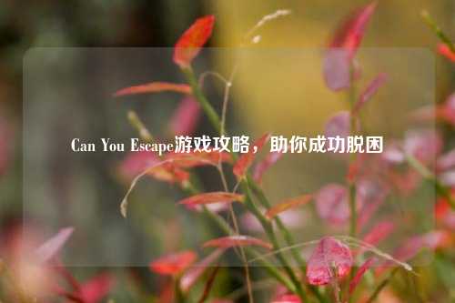 Can You Escape游戏攻略，助你成功脱困